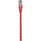 Intellinet Network Solutions Intellinet Patch Cable Cat6 Utp Red 1Ft Snagless Boot 343329 - alternate 1